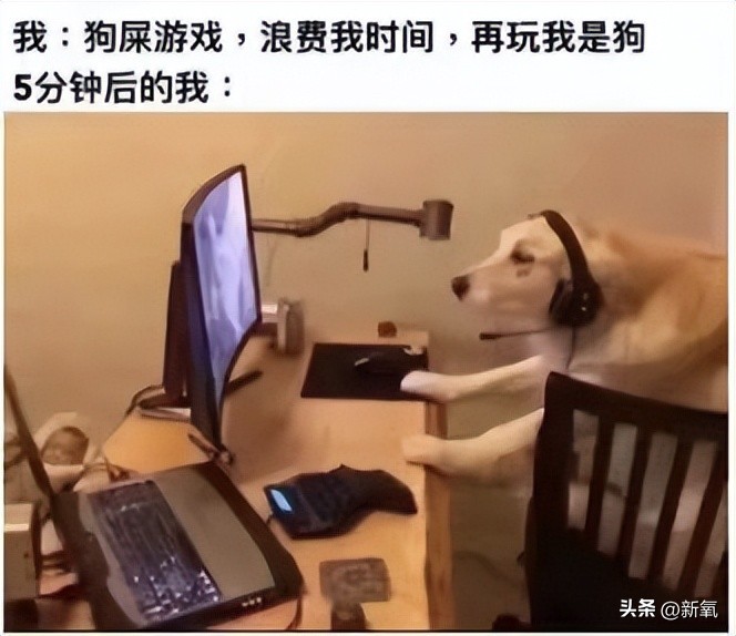 如何好好说话掌握说话技巧,日常各种经典场合的说话技巧