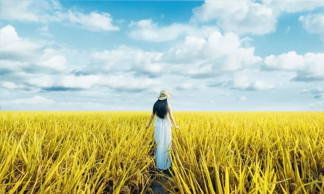 说话的最高境界书籍,说话的最高境界朗诵