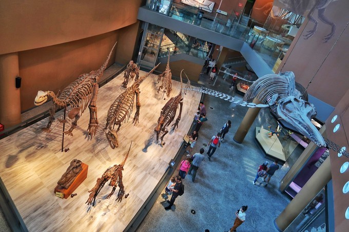 上海四天五夜旅游攻略,上海周边四天三夜攻略