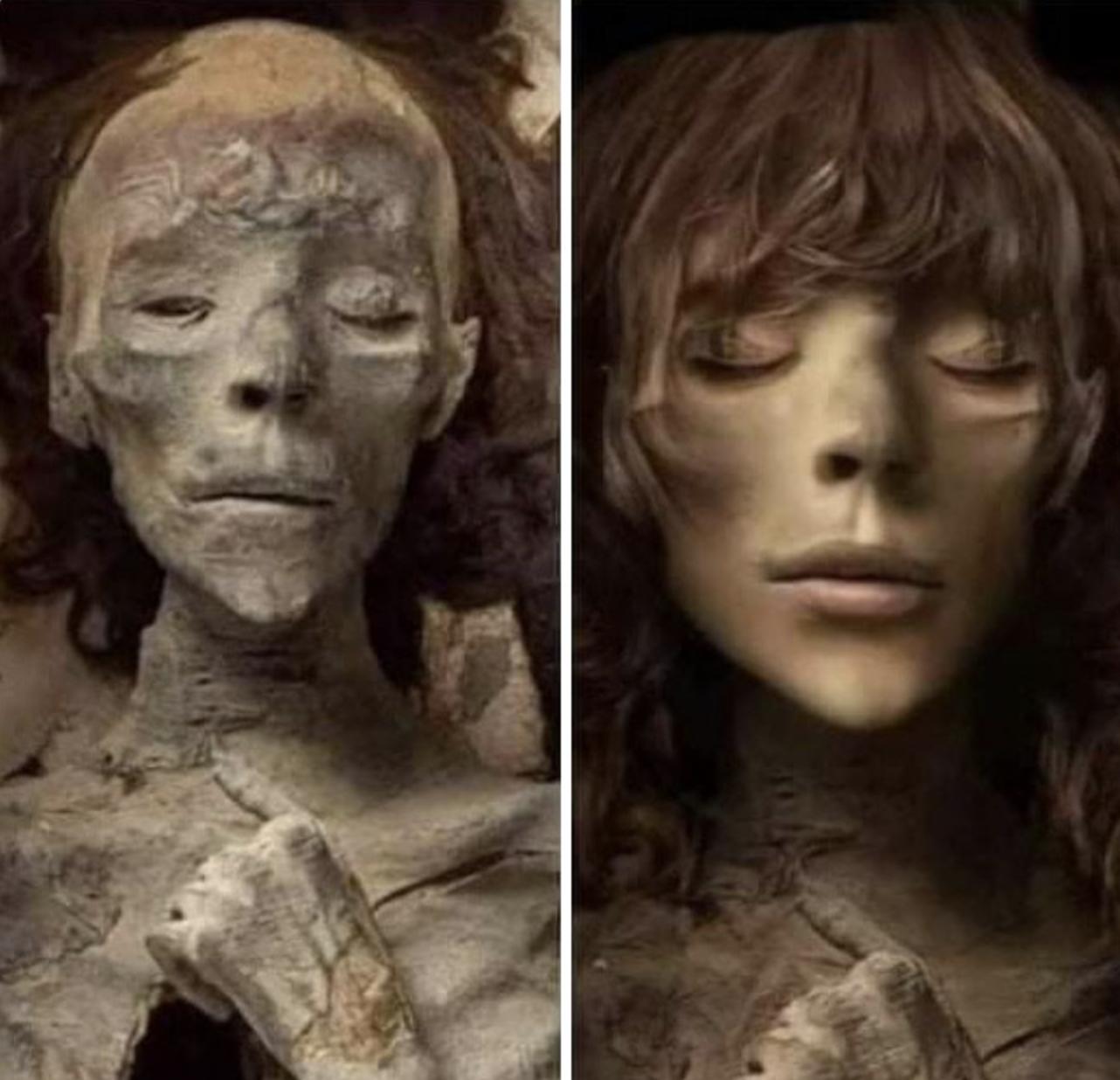 盘点被电鳗电死的人,鳄鱼咬住电鳗当场死亡