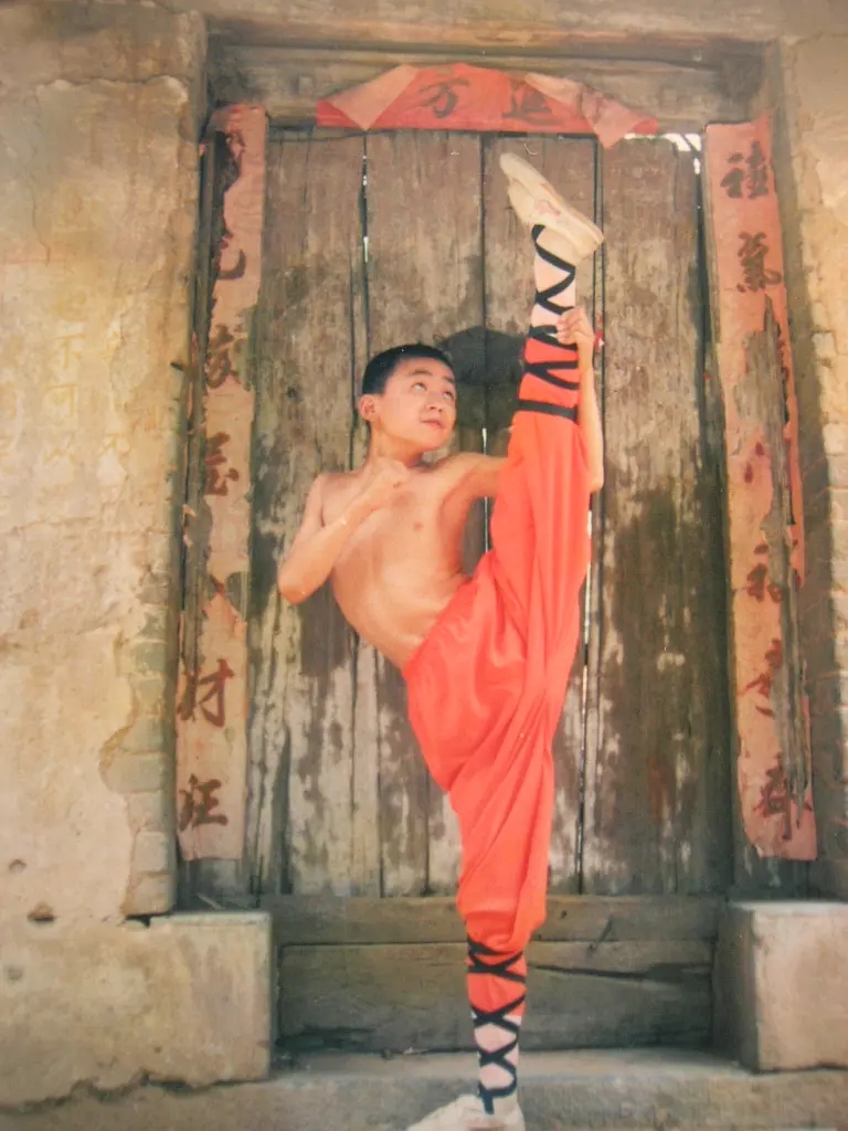 陈德森甄子丹电影,陈德森一个人的武林解析