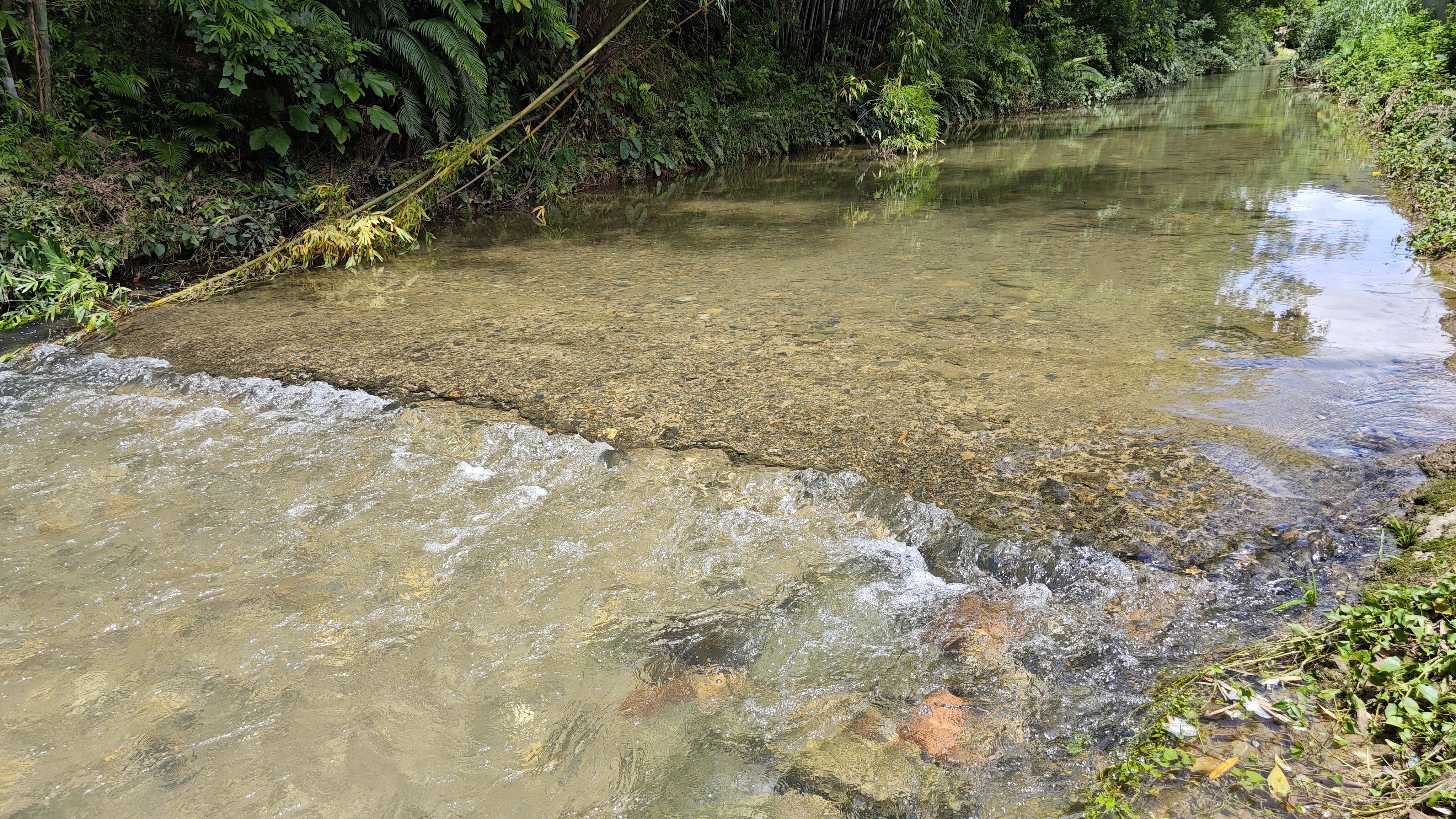 罗浮山温泉品质特色民宿推荐,惠州罗浮山脉下的乡野秘境民宿