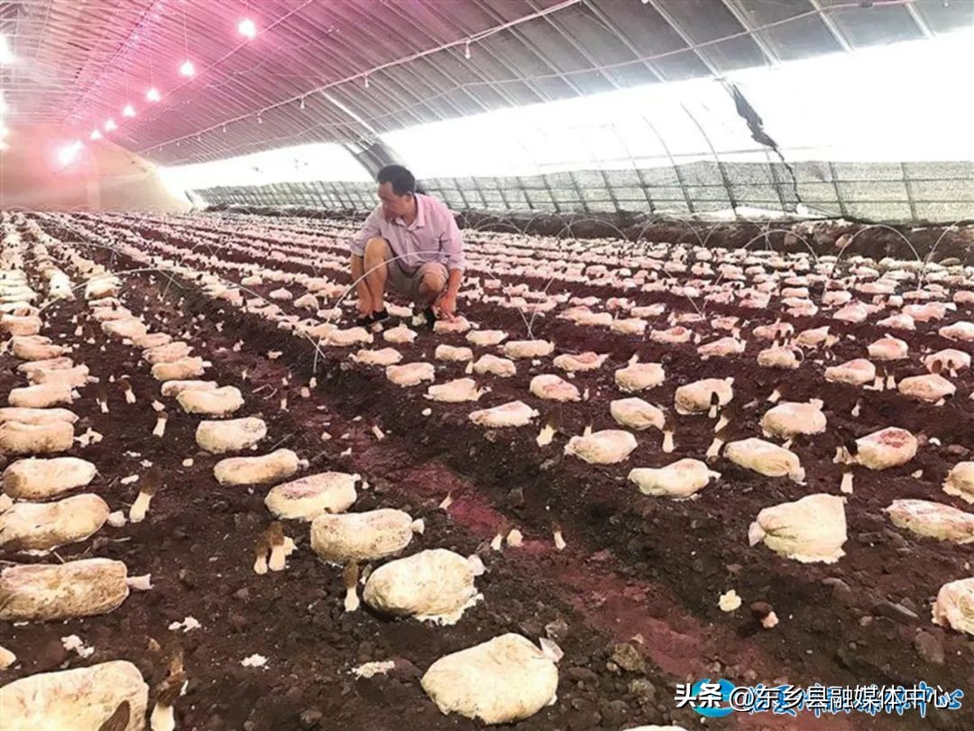 百亿产业扶持,百亿产业正在崛起