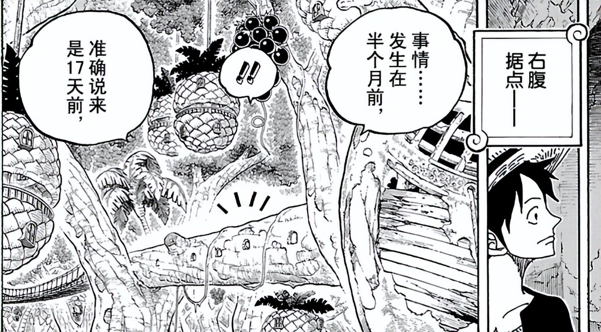 一口气看完海贼王蛋糕岛篇,海贼王蛋糕岛之后是什么篇