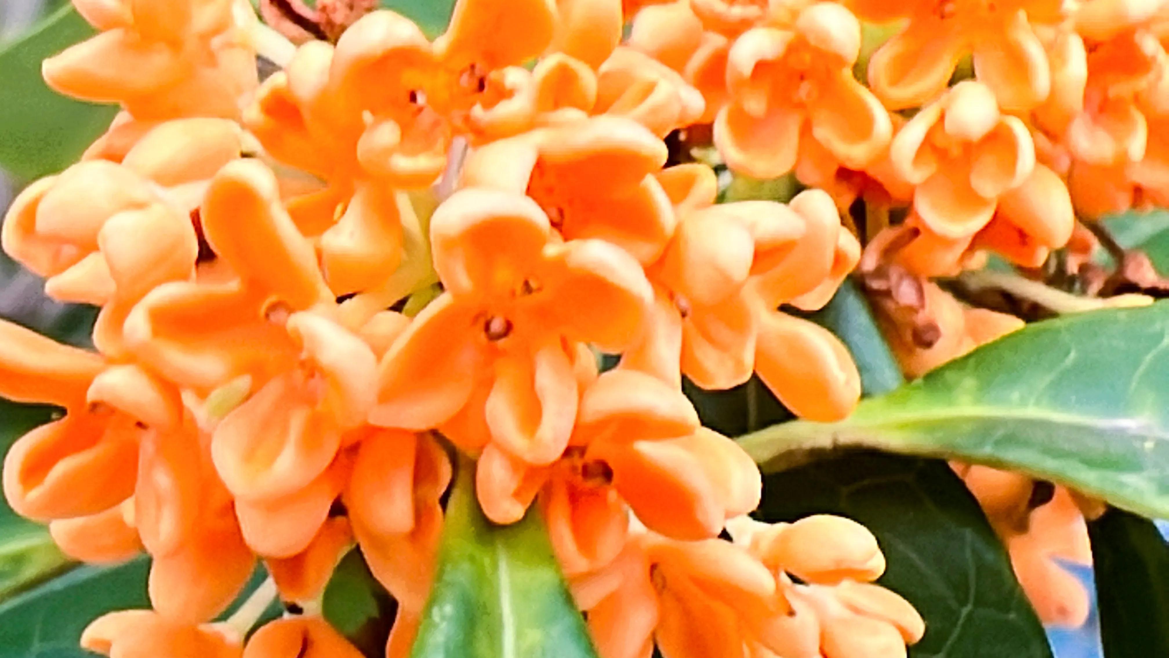 自以为美的中考命题：《是你，让我超越了平常的自己》