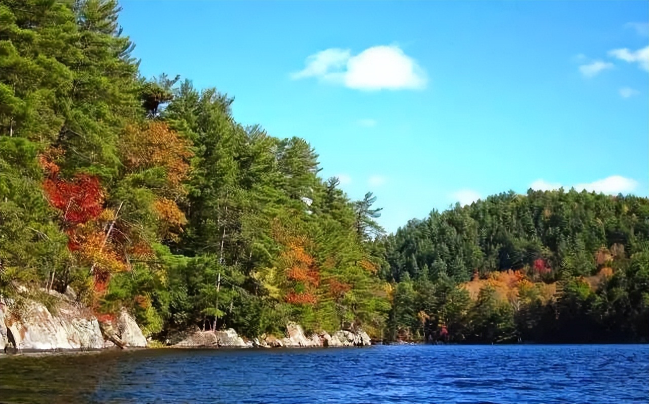 马云如果不卸任会怎样,马云卸任后的目标