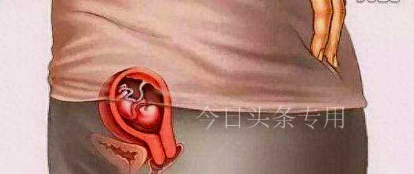 母爱伟大图片带字,母爱最伟大照片