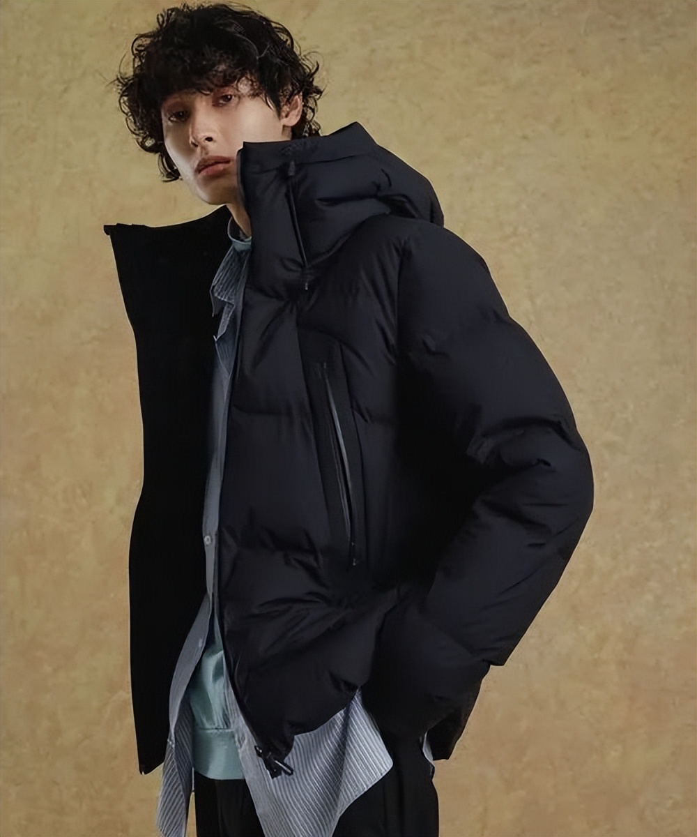 tnf羽绒服都有什么款,tnf羽绒服选什么版