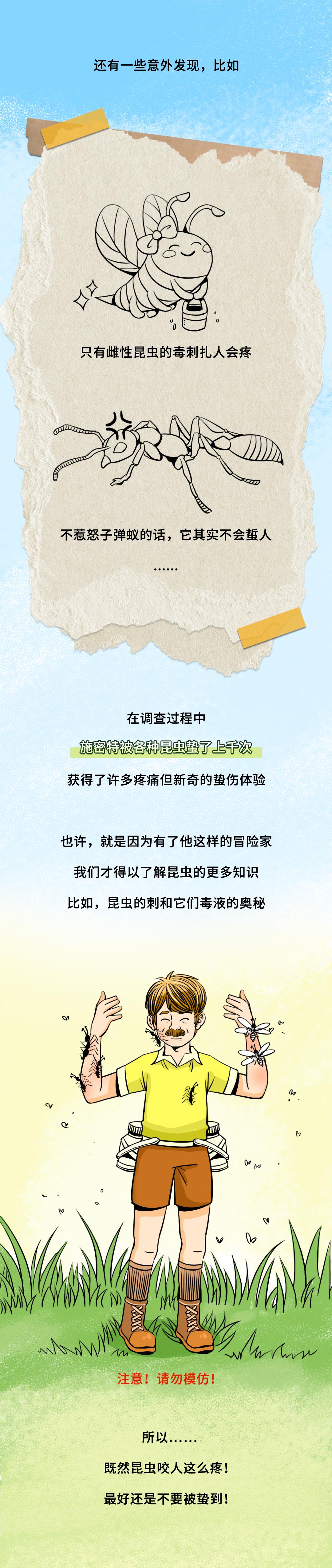 被哪种虫子咬了有个小孔,被什么昆虫咬了刺痛