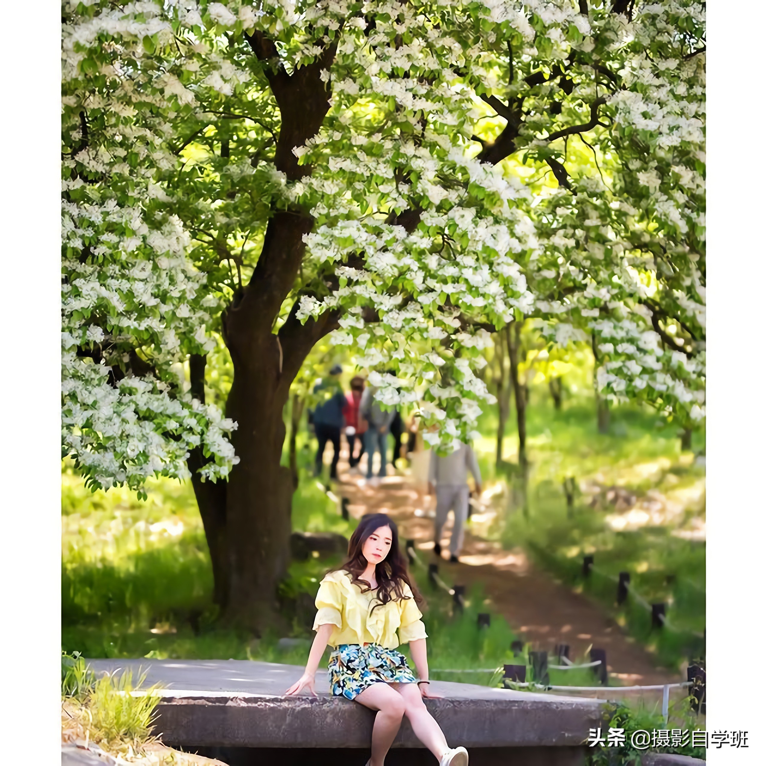 拍照小技巧让你拍出上镜美照,最实用的47个让你拍照好看的方法