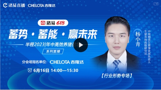 养猪行业怎么做大做强,养猪行业下半年目标