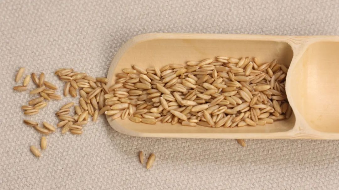 谷麦的营养价值和作用,谷麦的营养价值及功效