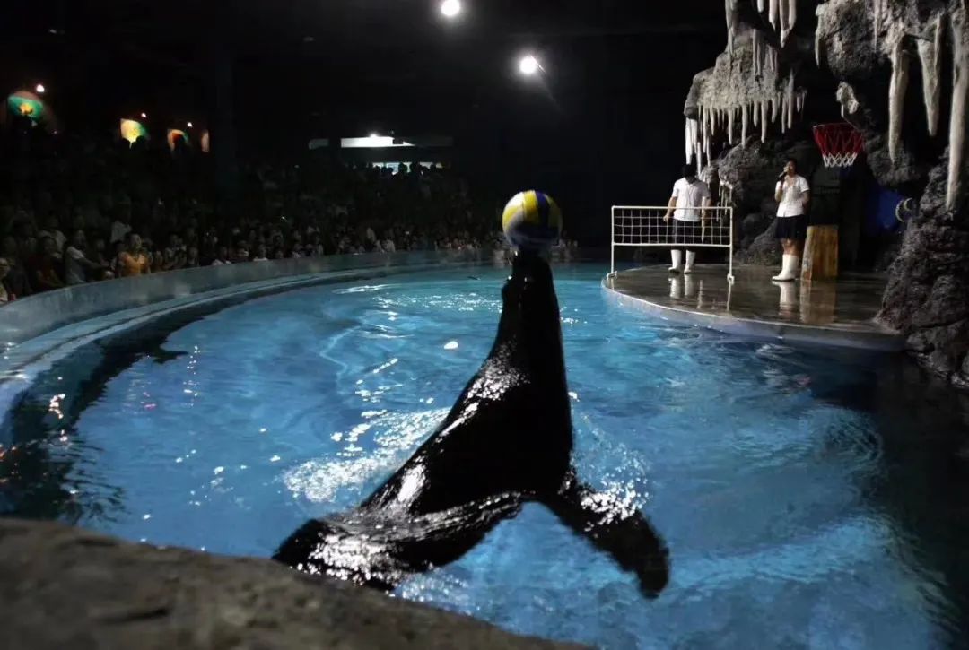 五一适合亲子游郑州,郑州适合亲子旅游的地方一日游