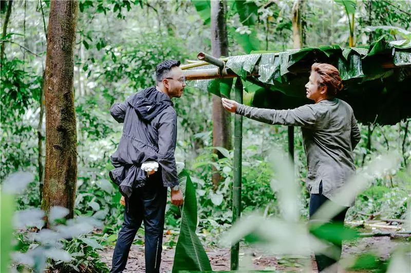 中国最具风情的养老胜地，北回归线上唯一的绿洲，不在乎春夏秋冬