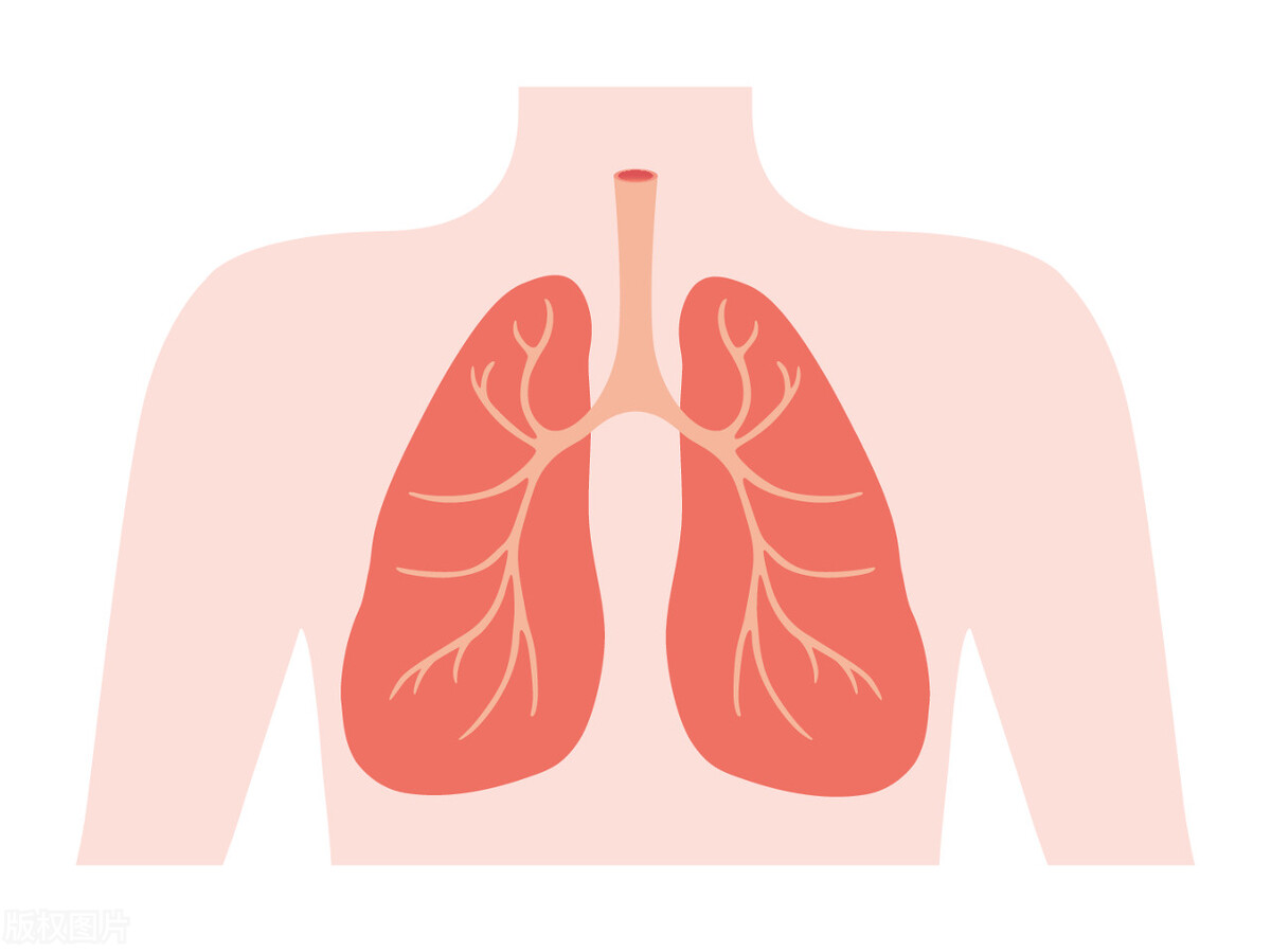 孩子咳嗽黄痰必须吃抗生素吗,咳嗽咳出黄痰要吃抗生素吗