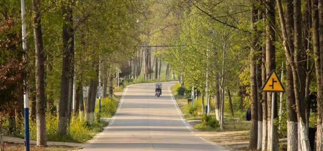 白也诗无敌飘然思不群是哪首诗,白也诗无敌飘然思不群