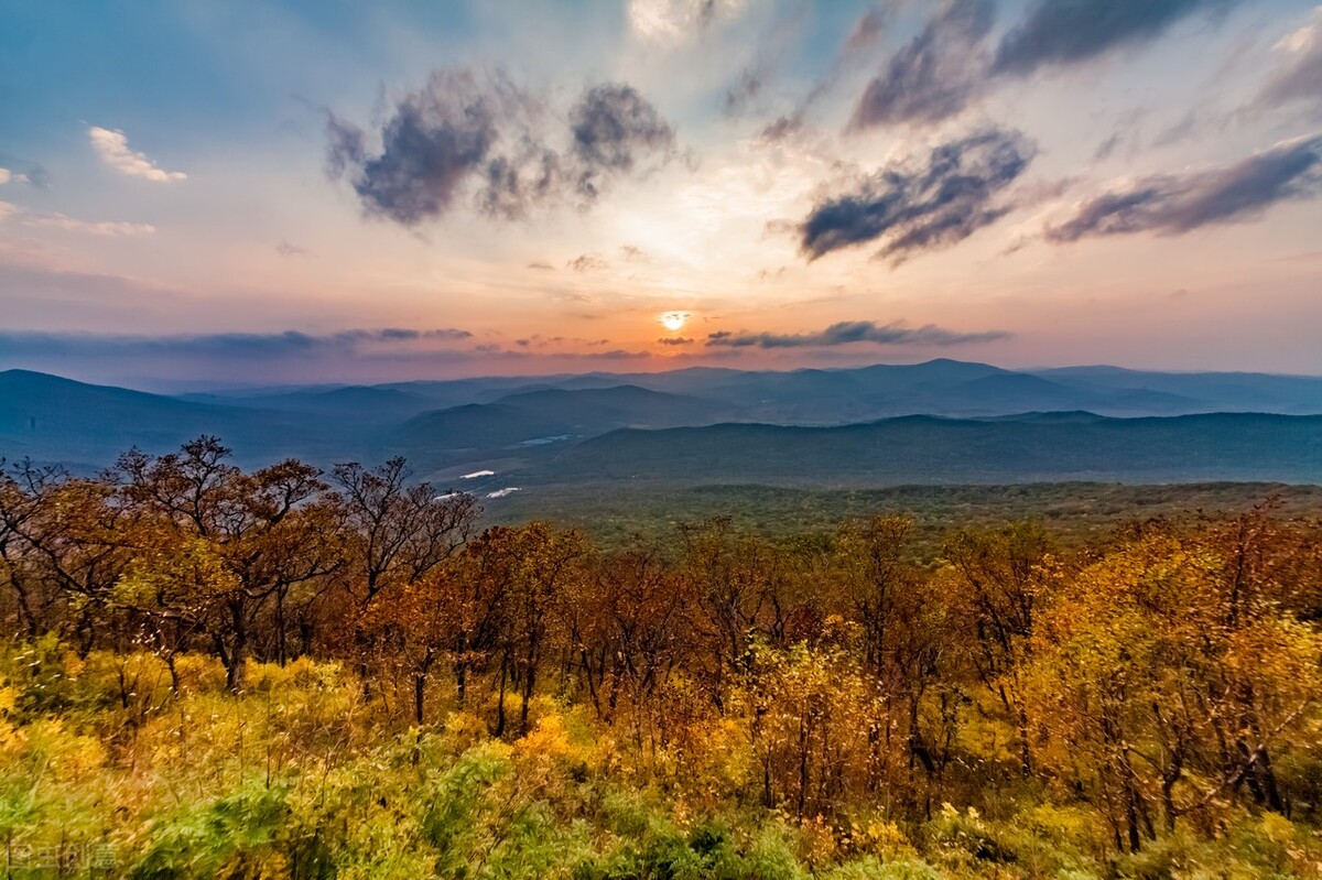 重生食人部落小说,穿越食人族部落小说