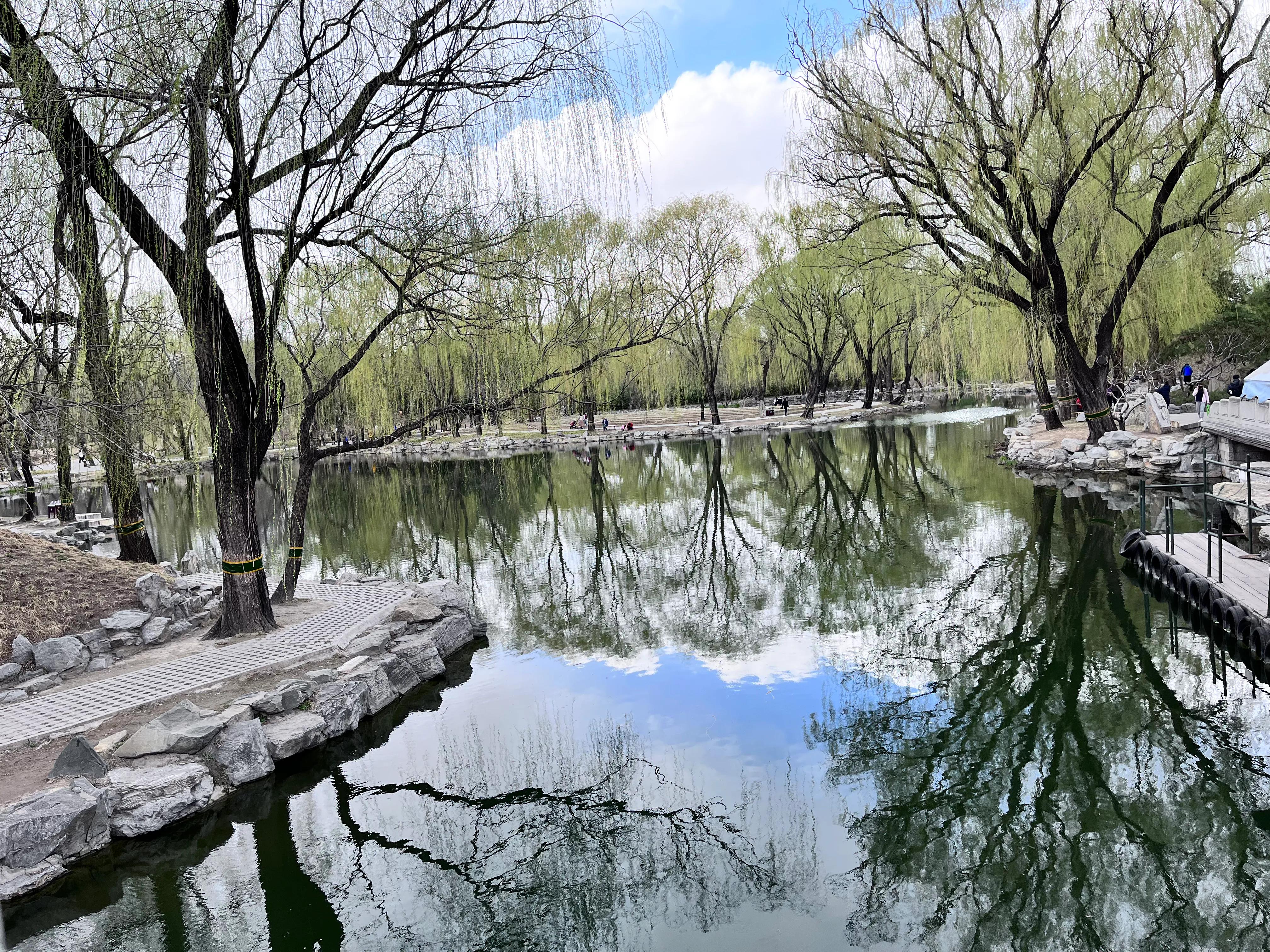 清明时节有感50字,清明时节有感