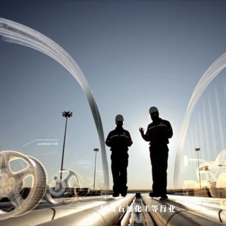 阜丰集团25周年,阜丰集团美国