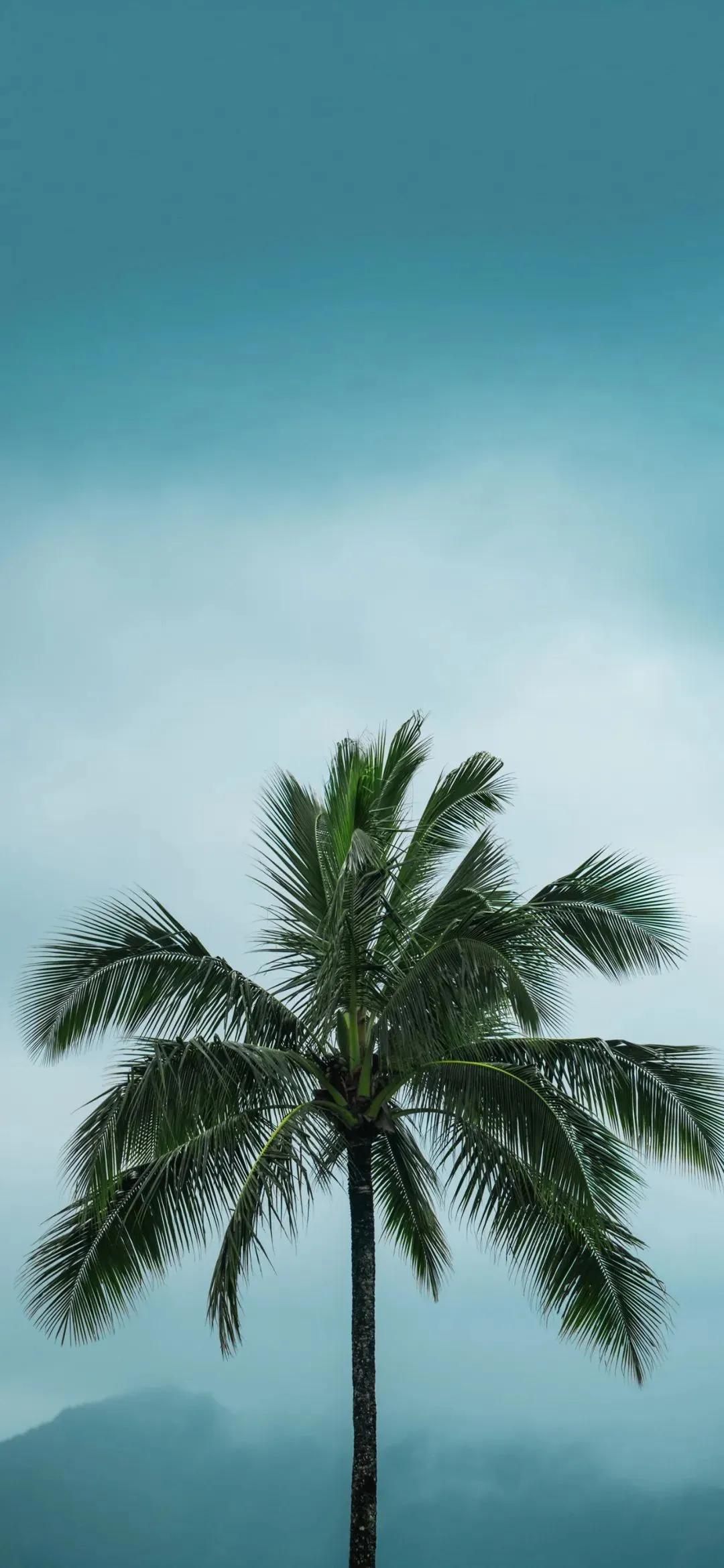 鏂板嚭鐐夋渶鎯婅壋椋庢櫙澹佺焊,椋庢櫙澹佺焊鎵嬫満瓒呮竻鍏ㄥ睆