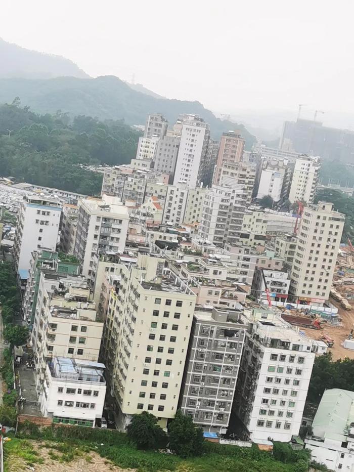 深圳新加坡组屋模式,新加坡组屋产权