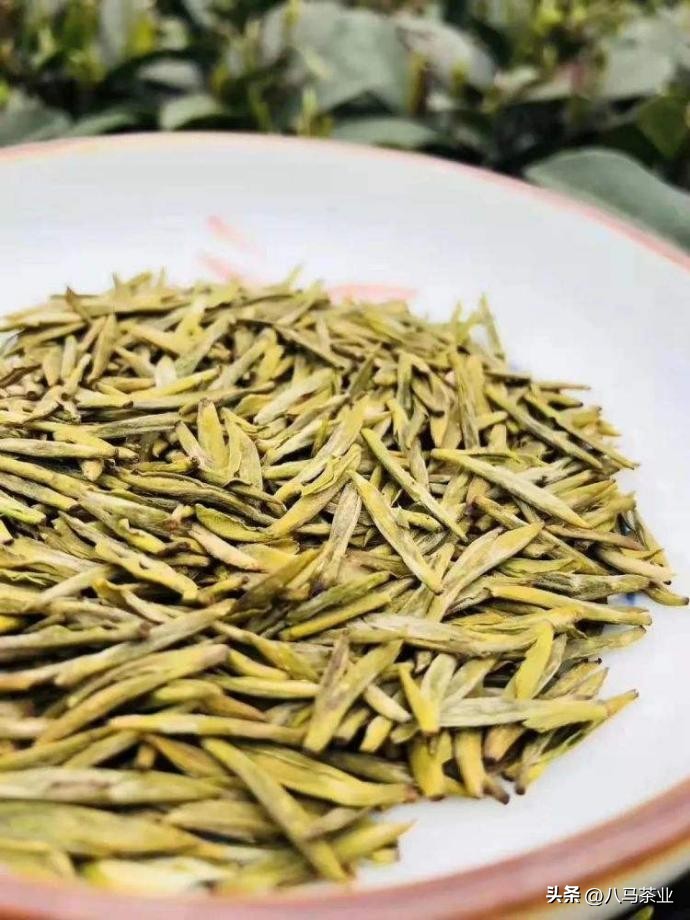 它很“黄”，但很温柔