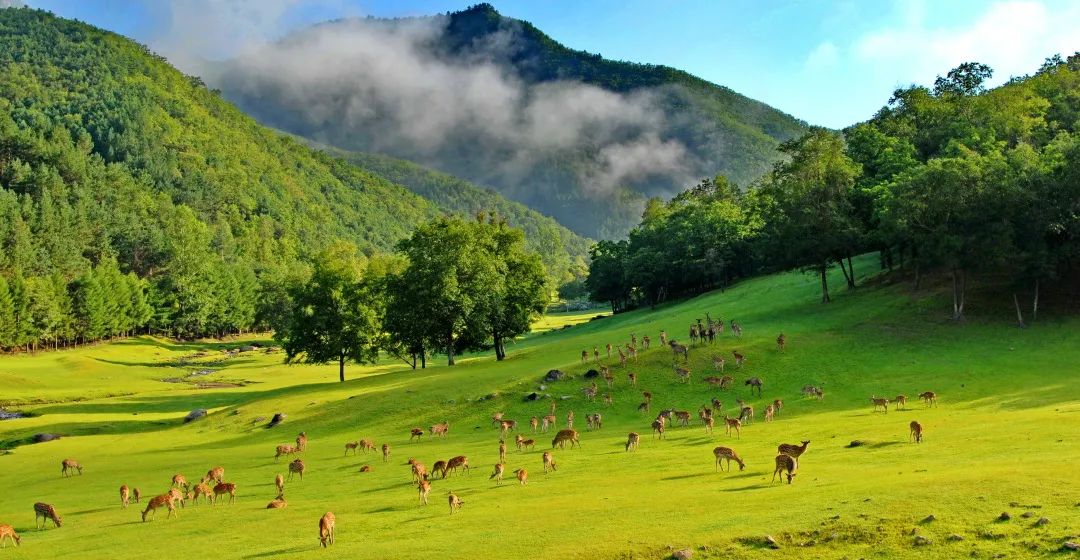 黑龙江有多美好图片,记忆中的黑龙江图片