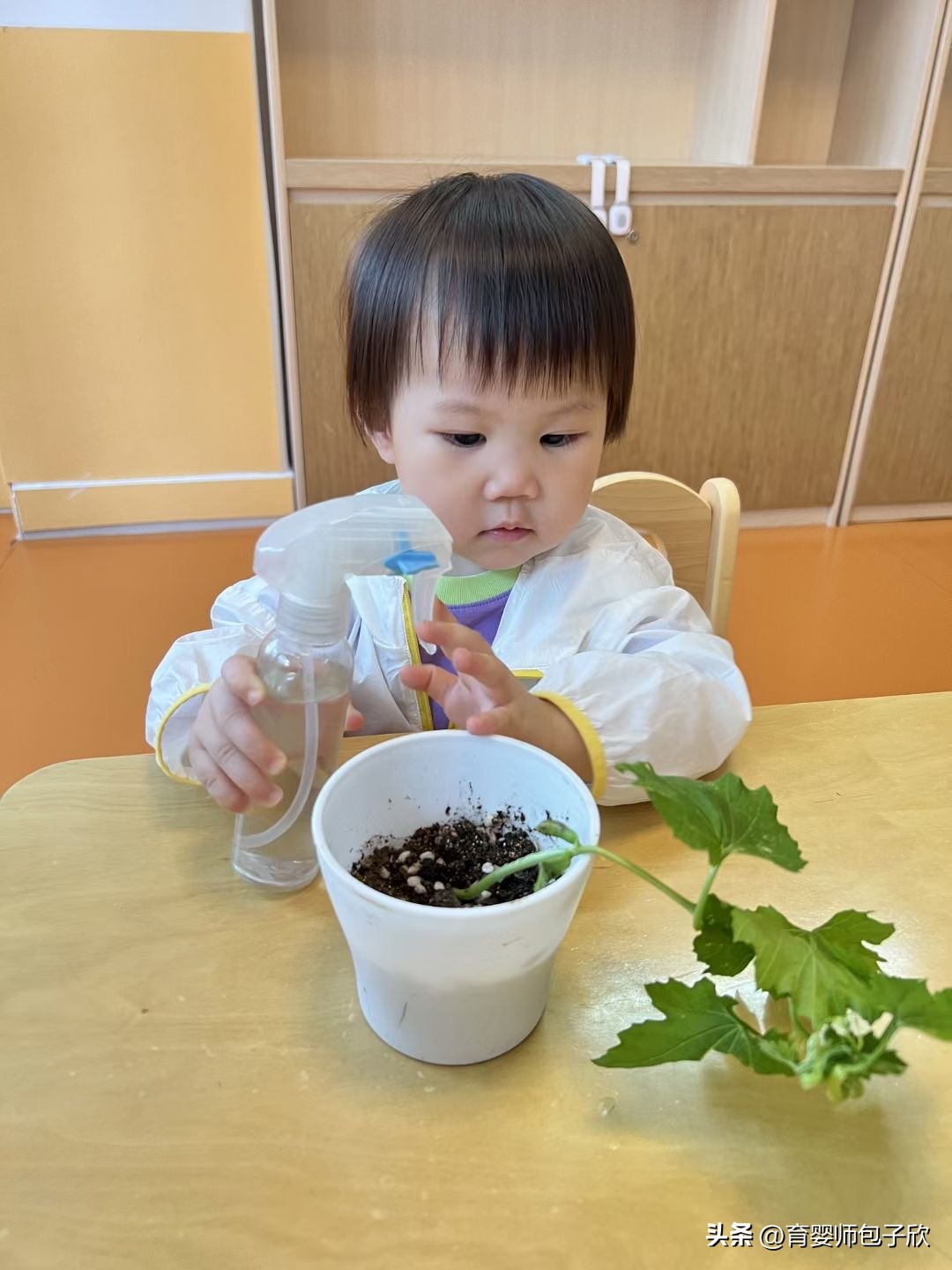 如何判断孩子是否适合早托?会破坏安全感吗?