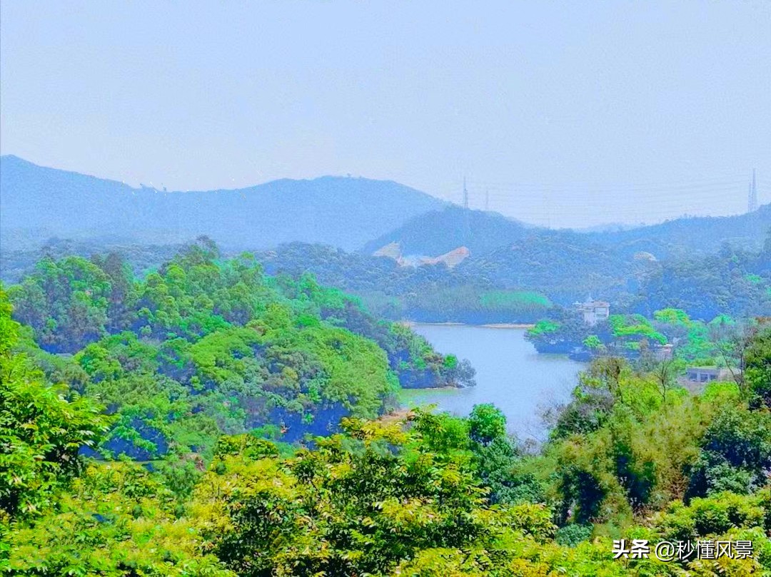 广州周边绿色森林公园拍照,广州市区小众公园景点