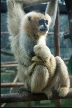 李白十首恐怖诗句,唐诗十首李白行路难