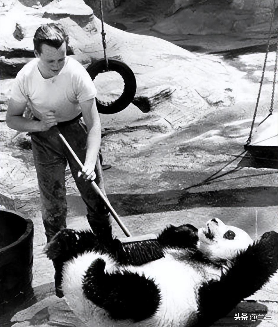 珍贵照片，日军*杀屠**老百姓强奸妇女，用刀剖开肚子，看看多残忍