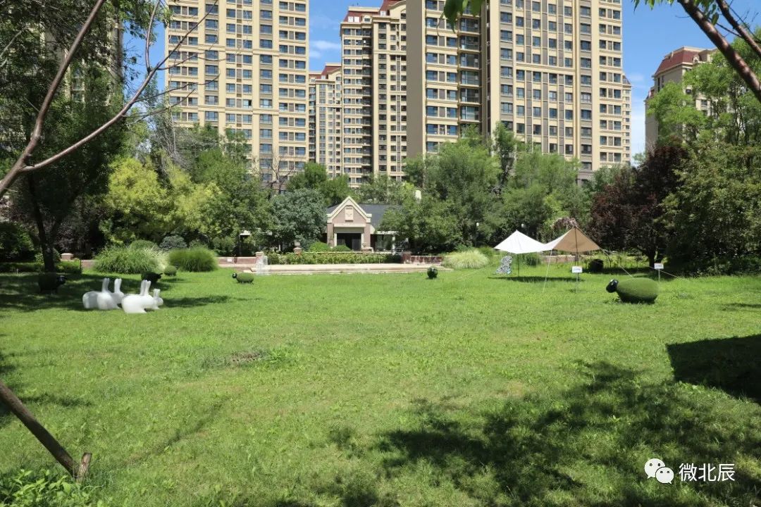 口袋公园颜值,口袋公园兜起城市幸福时光