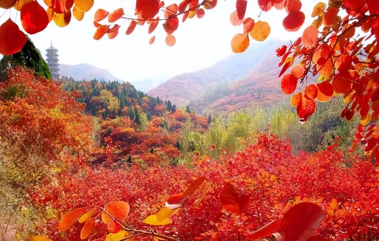 关于吉林30个冷知识，带你了解真实的吉林