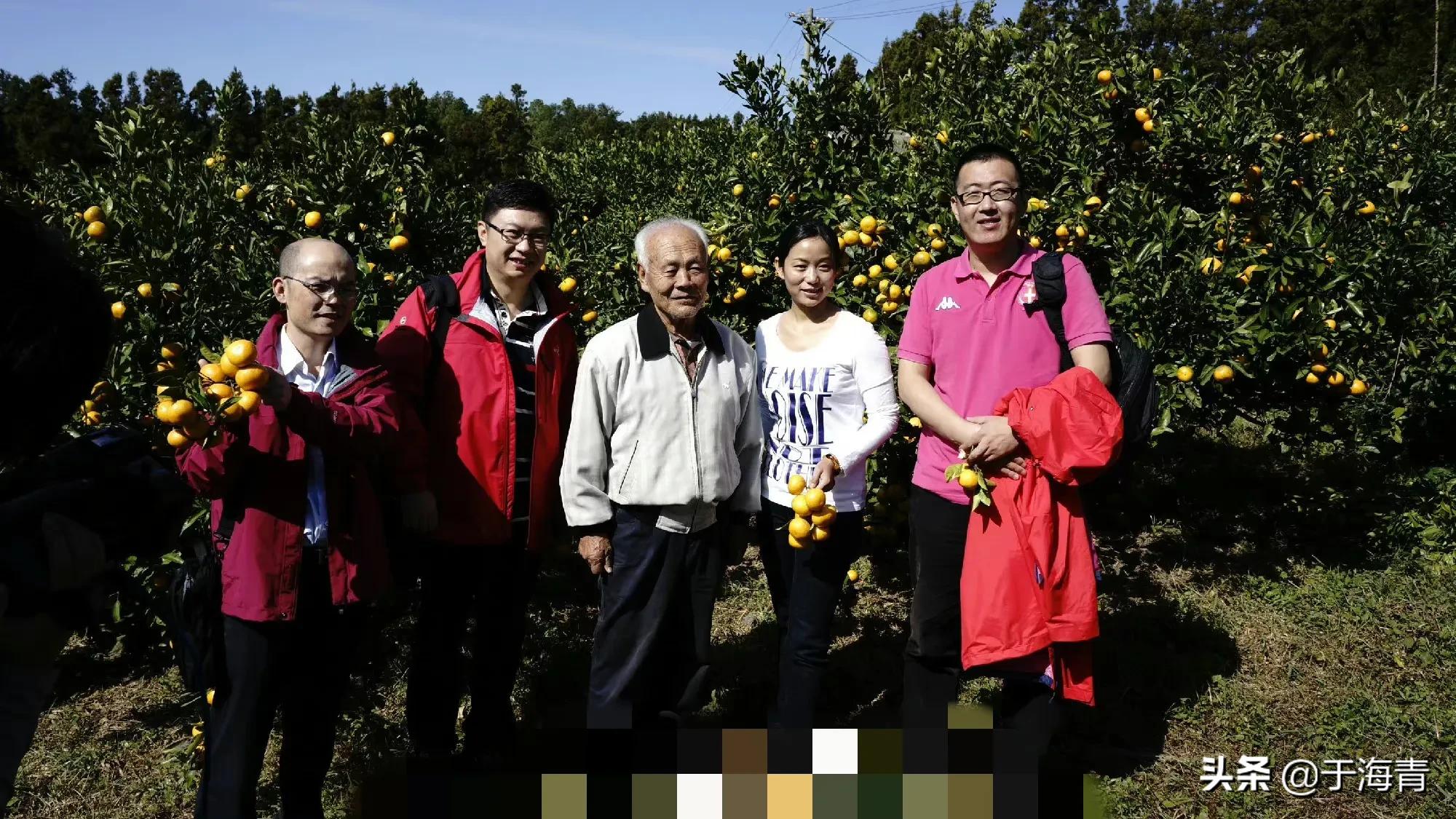 如何评价于海青,于海青资料