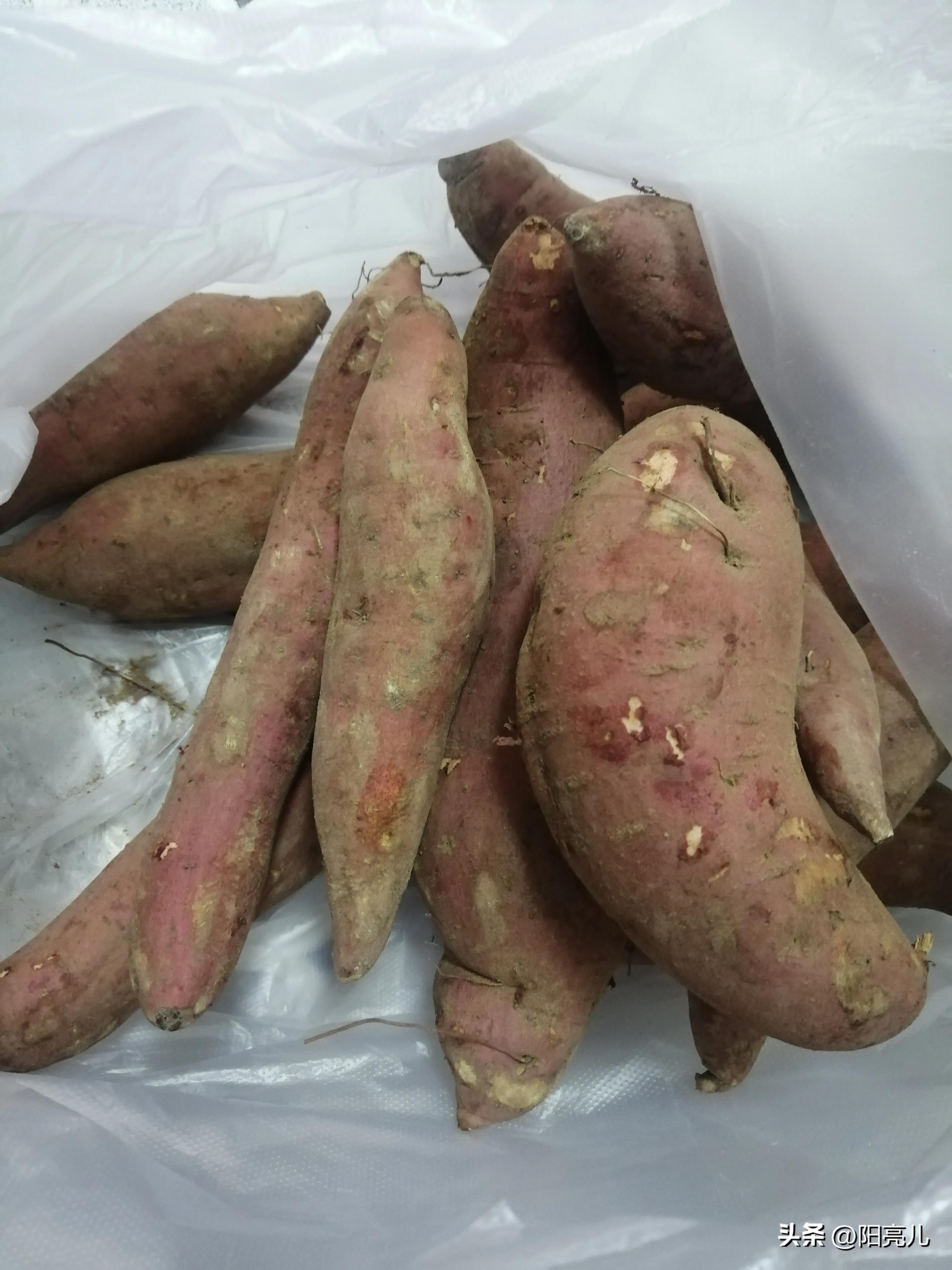 红薯丸子的做法用糯米粉,红薯丸子的做法