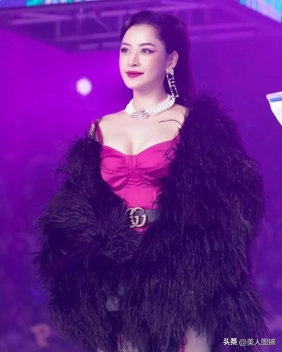 越南芝芙,芝芙越南