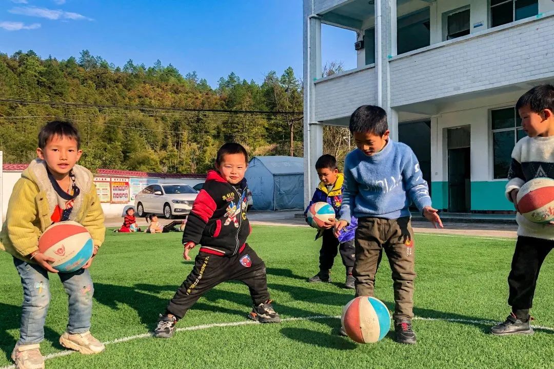 派迪茵体育有限公司,派迪茵体育有限公司图片