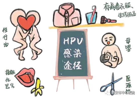 国际HPV知晓日,我们一起来揭开HPV的面纱……