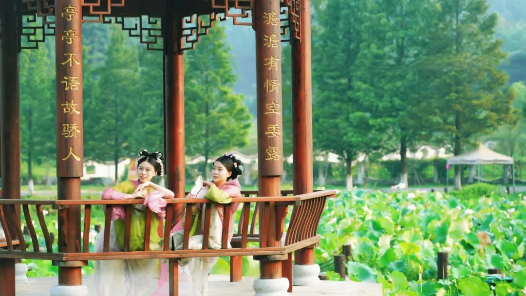 小暑已至！夏日顶流登场，一池荷风，满院莲香，惊艳了整个夏天！