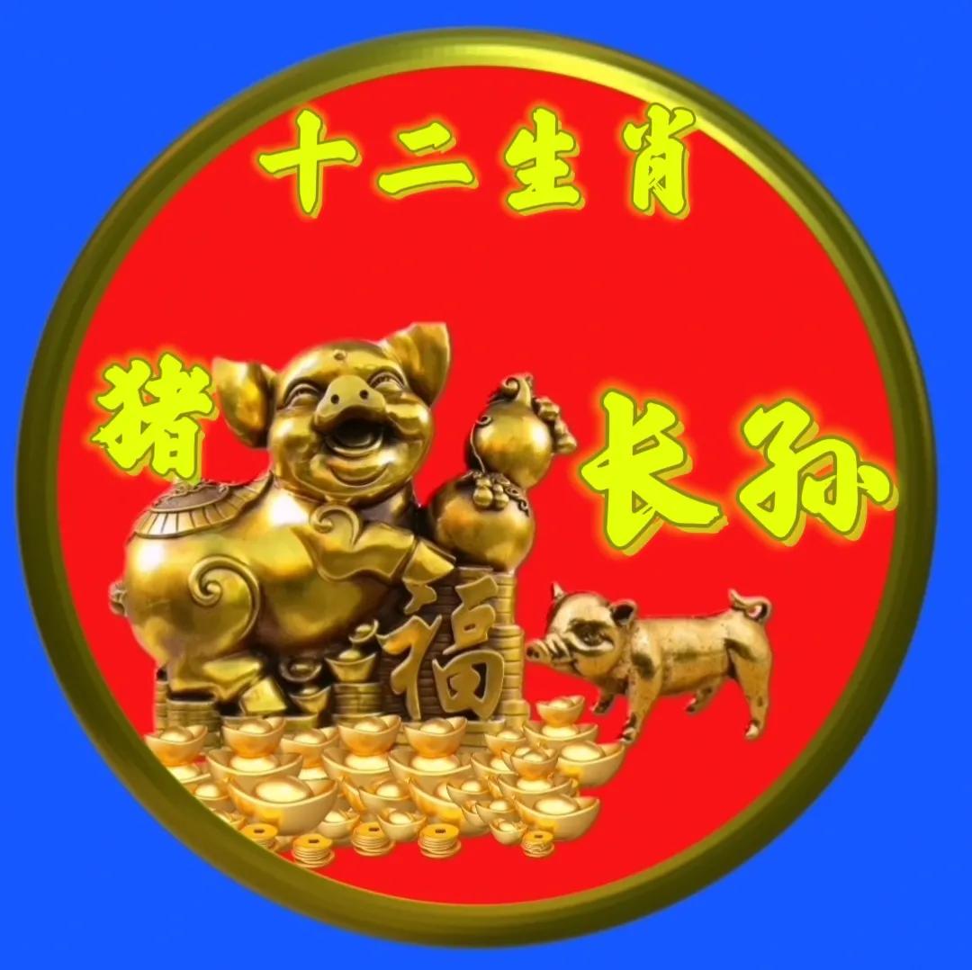 12生肖猪的姓氏头像,十二生肖猪姓氏头像壁纸