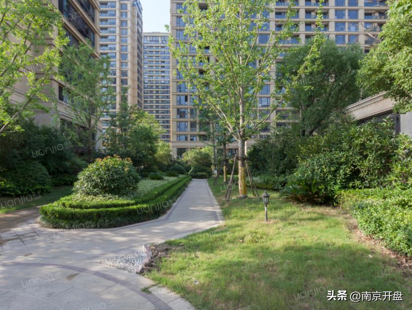 楼市涨声太高该不该买房,楼市房价下跌是真的吗