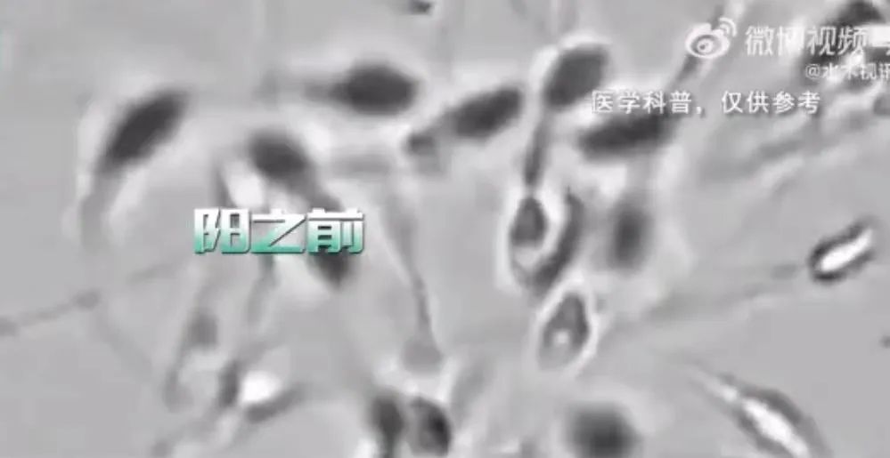 阳康过后精子成活率会变低吗,阳康后如何调整精子质量