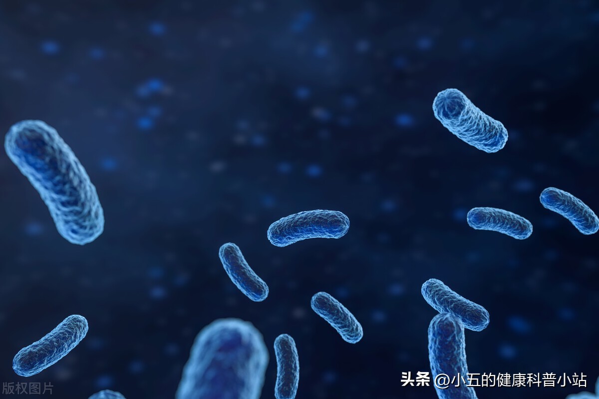 清热解毒，利湿通淋，谈谈治疗慢性前列腺炎的中成药—宁泌泰胶囊