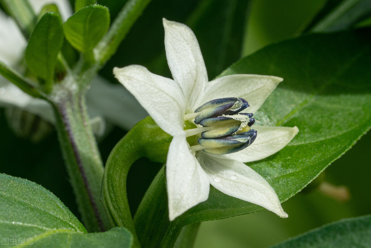 我读《英才是家庭造就的》(一)