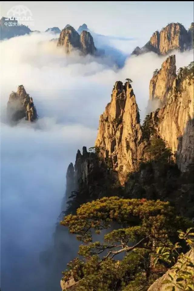 男博士与女导师的柏拉图之恋——回忆我的大学本科生活