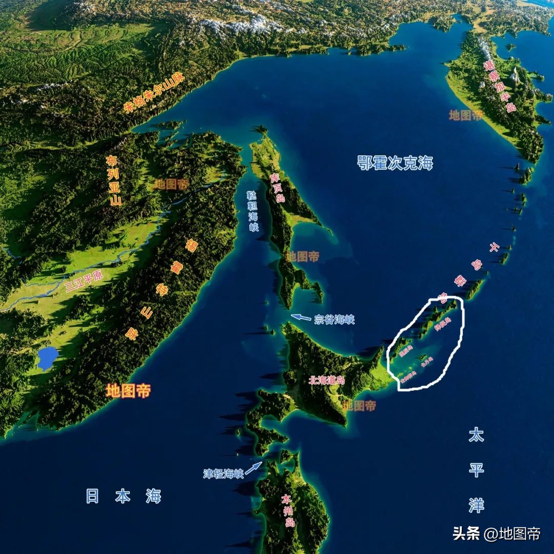 乌克兰老百姓对泽连斯基最新态度,台湾相当于克里米亚吗