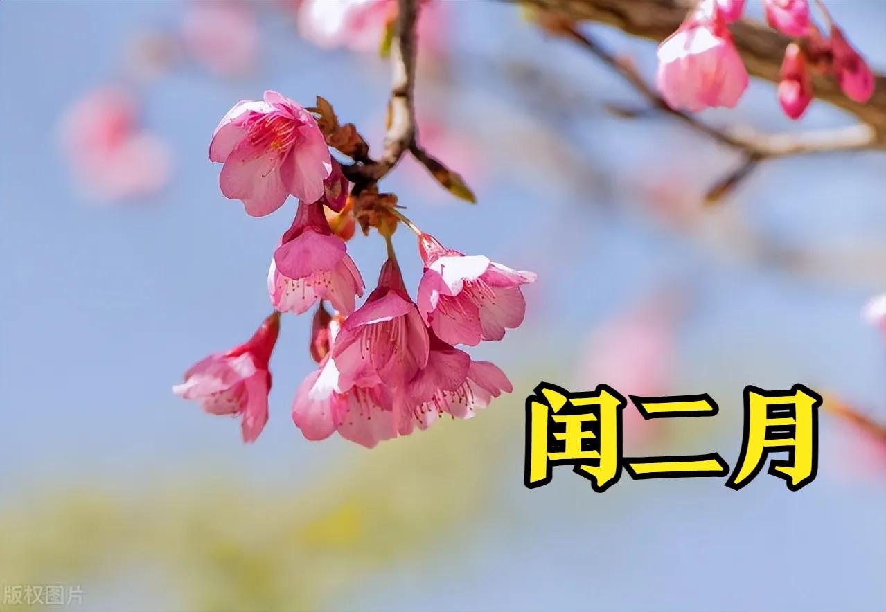 闰月鞋闰月给父母买可以吗,闰二月应该几号买闰月鞋