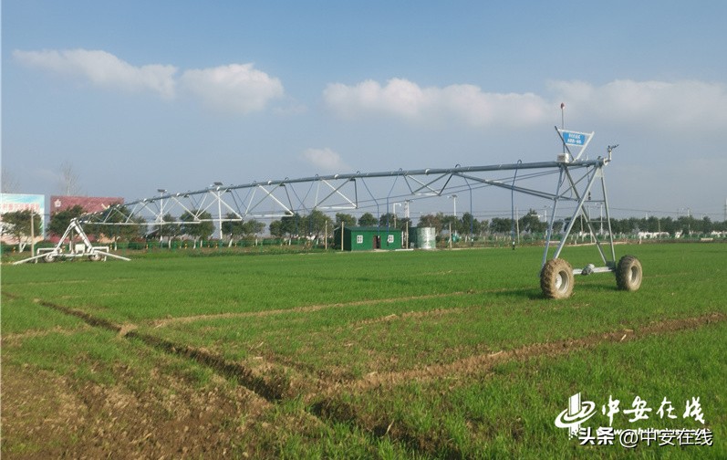 看“皖美”创新之变书时代奋进新篇