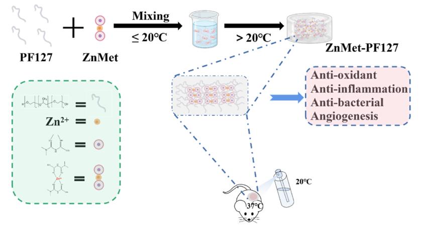 「科研快报」可喷雾热敏水凝胶与锌修饰二甲双胍促进皮肤创面愈合