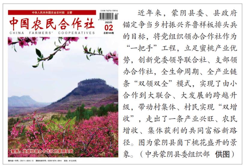 太行梯田上的新农人——记涉县青阳山农产品专业合作社理事长赵永平